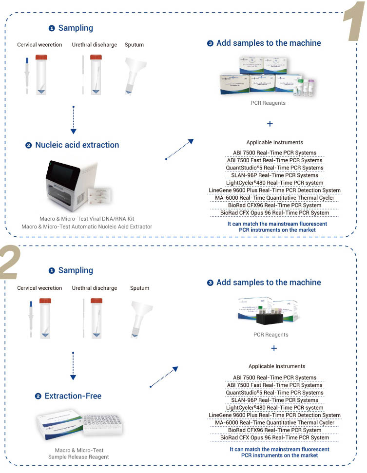 Bộ kit phát hiện kết hợp axit nucleic Candida Glabrata (PCR huỳnh quang)