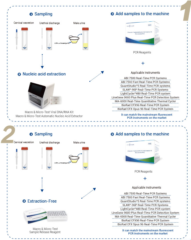 Chlamydia Trachomatis nukleinsav detektáló készlet (fluoreszcens PCR)