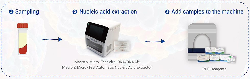 کیت تشخیص اسید نوکلئیک ویروس دنگی I II III IV 6