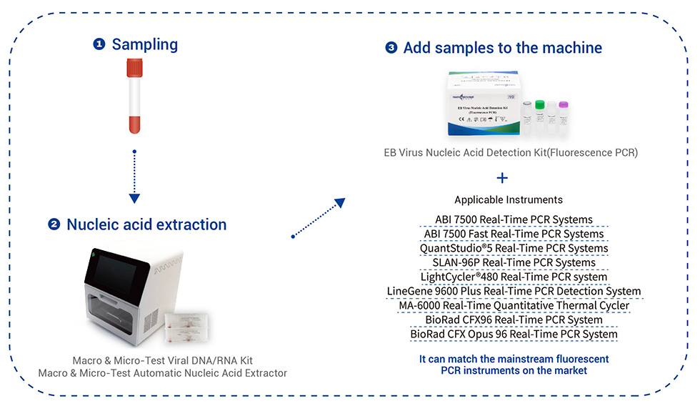 Bộ phát hiện axit nucleic virus EB (PCR huỳnh quang)6