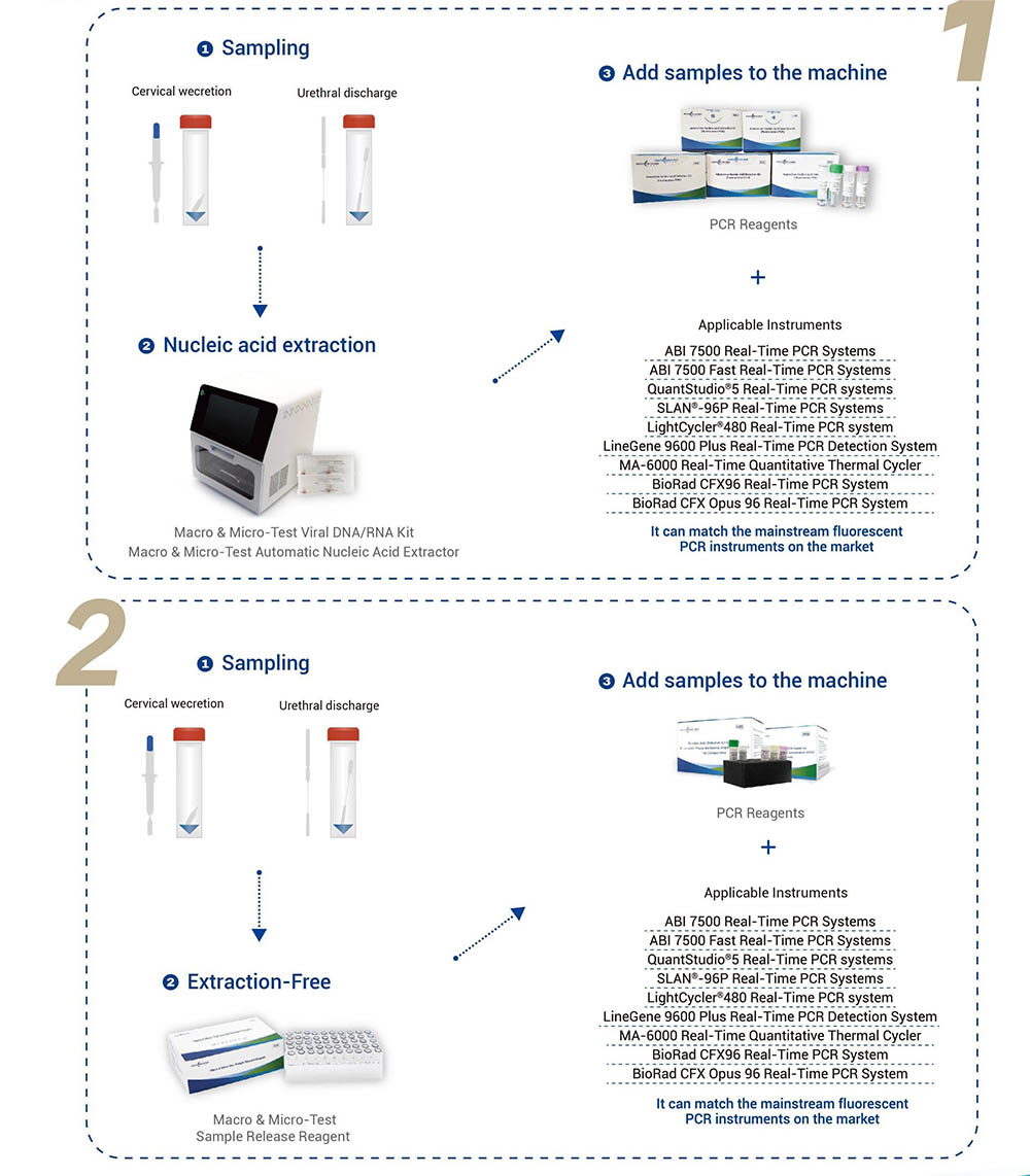 Fluorescence PCR