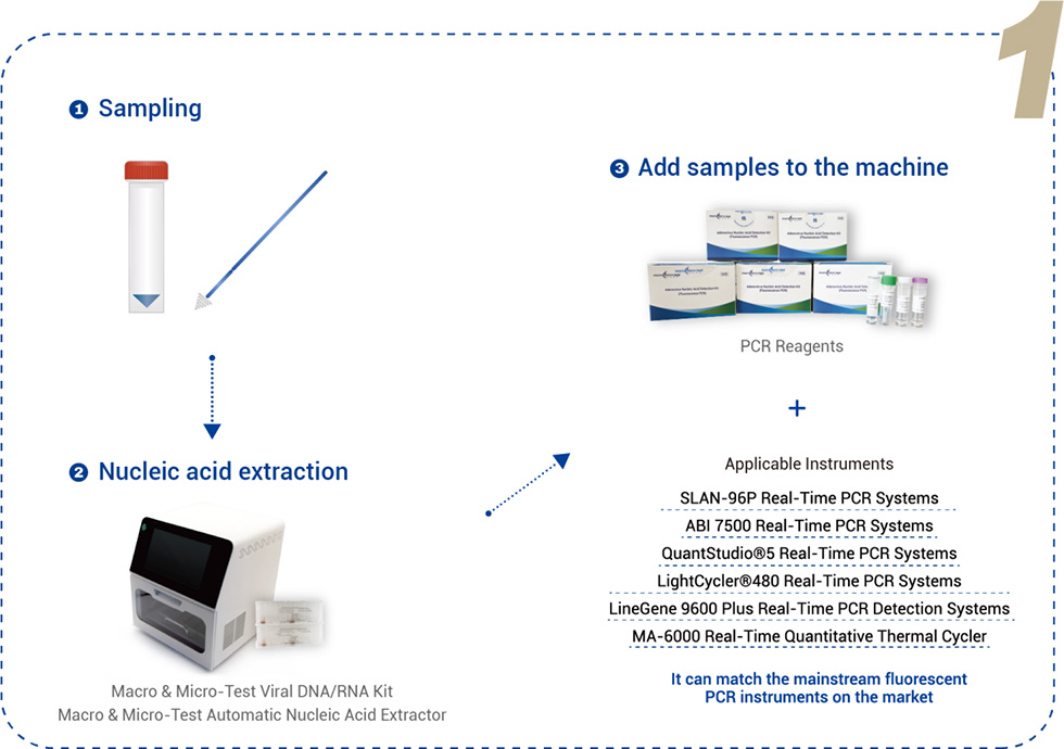 פלואורסצנטי PCR3
