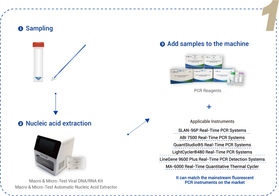 I-Fluorescence PCR3