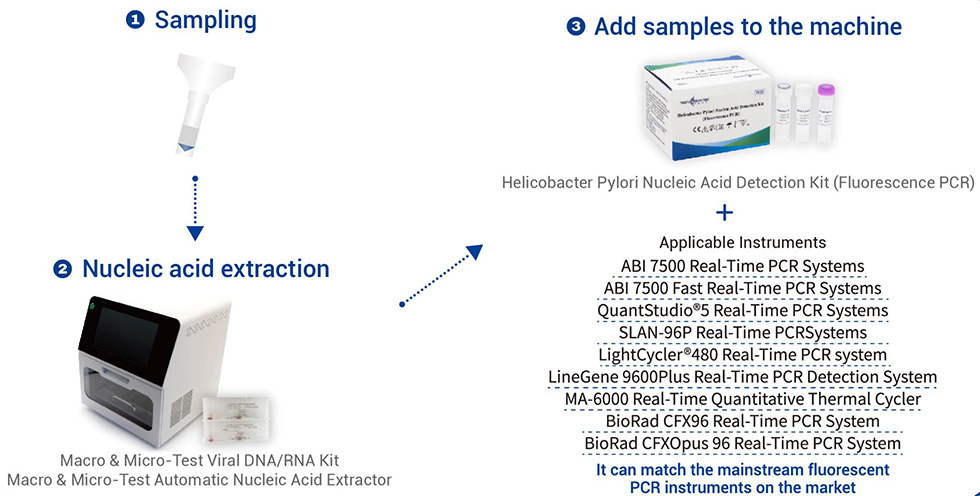 Kit de detectare a acidului nucleic Helicobacter Pylori (PCR prin fluorescență)6