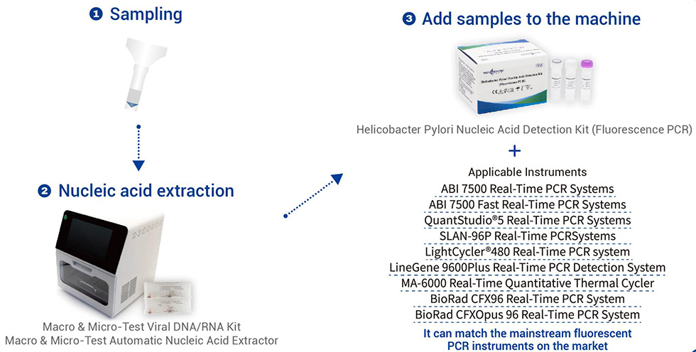 Kifaa cha Kugundua Asidi ya Nyuklia ya Helicobacter Pylori (Fluorescence PCR)6