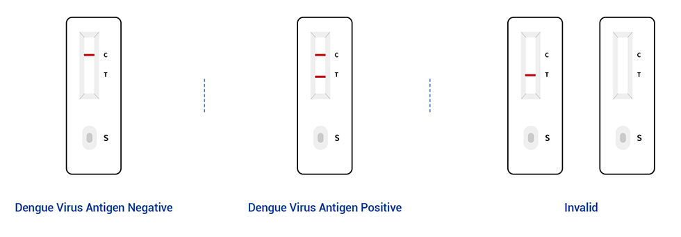 英文 快速 检测 - 登革热