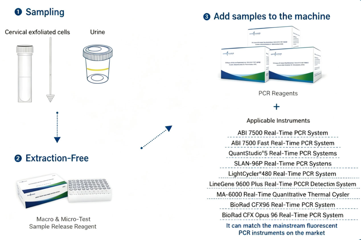 Cov Tshuaj Release Release Macro & Micro-Test