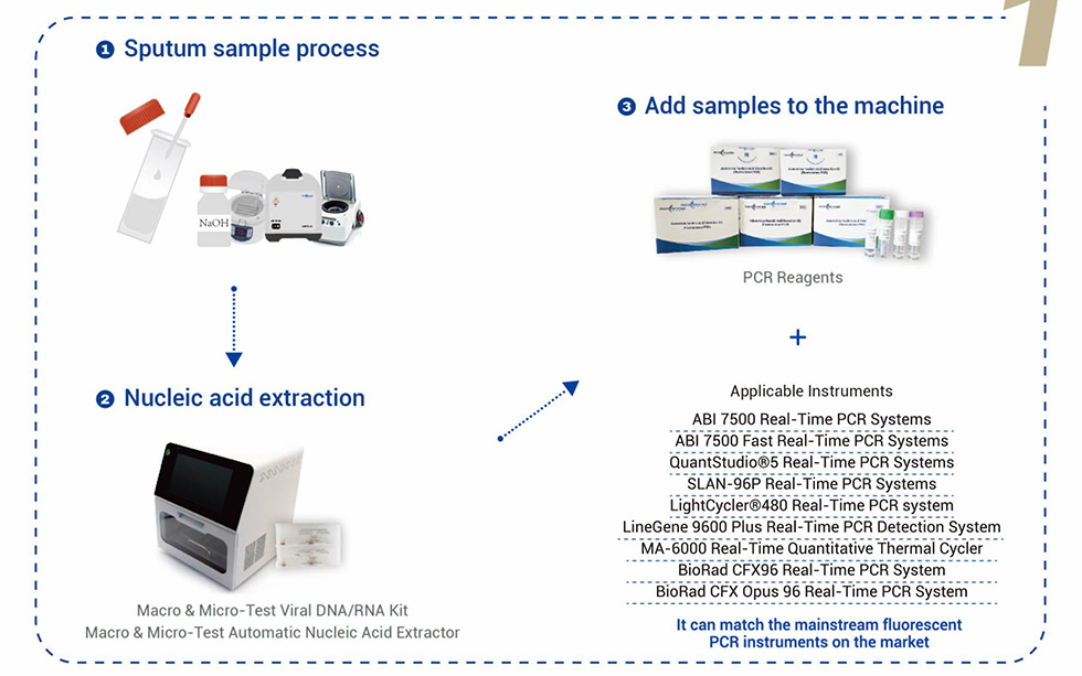 Mycobacterium Tuberculosis DNA Detection Kit7