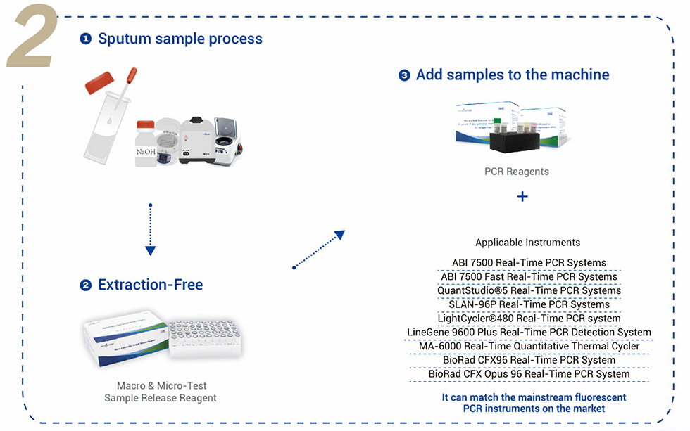 Kit de detección de ADN de Mycobacterium Tuberculosis8