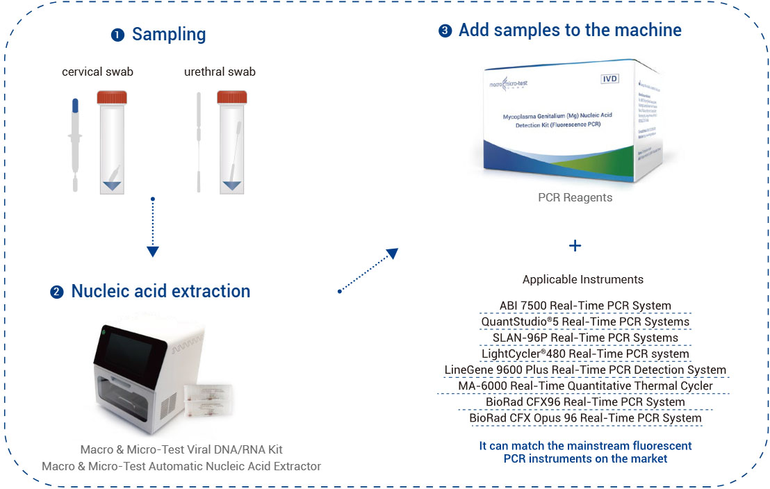 Mycoplasma Genitalium (Mg) nucleïnezuurdetectiekit