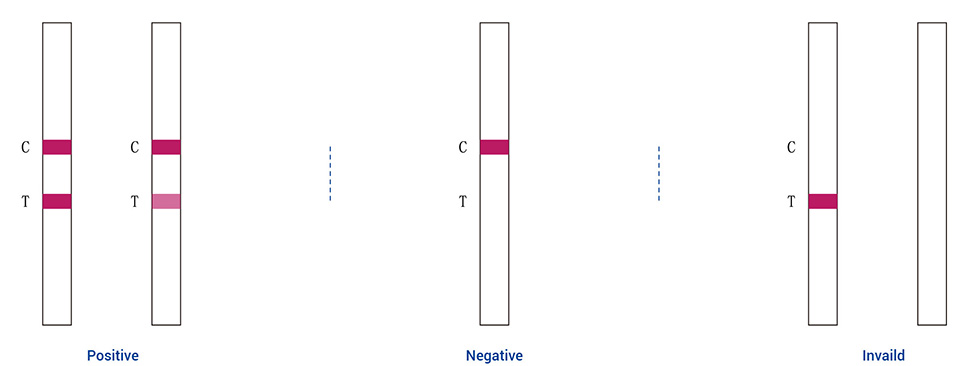 ภาษาอังกฤษ-免疫HCG