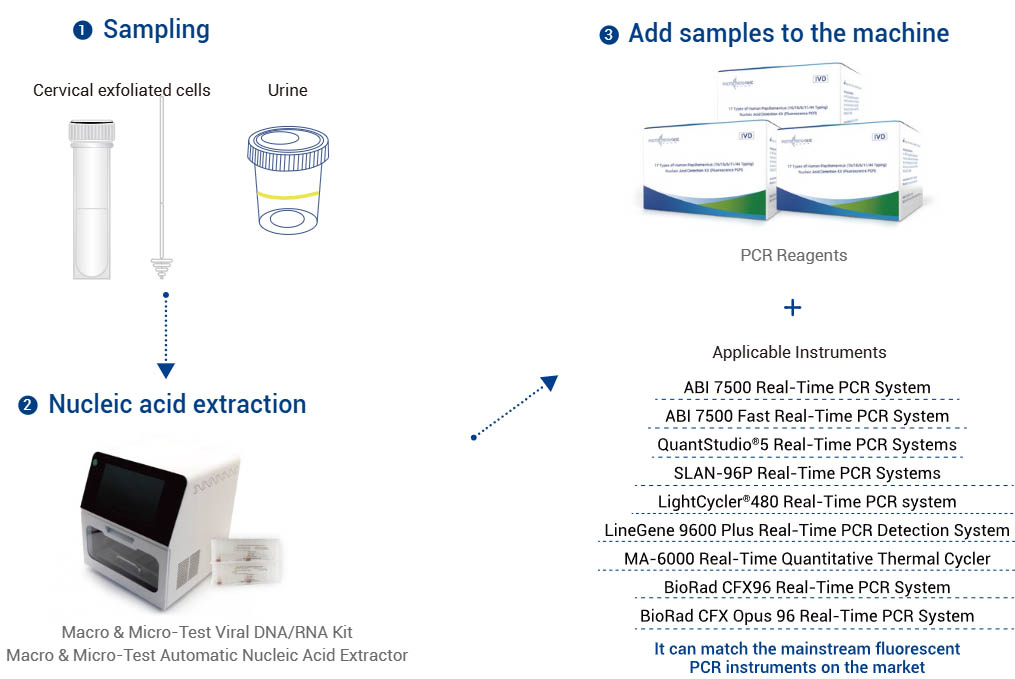 Fuasgladh 1 (Earrannachadh fèin-ghluasadach searbhag niùclasach)