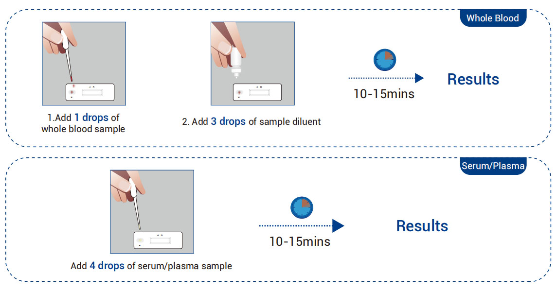 ຂັ້ນຕອນການເຮັດວຽກຂອງຊຸດທົດສອບ TP Ab (ຄຳ Colloidal)