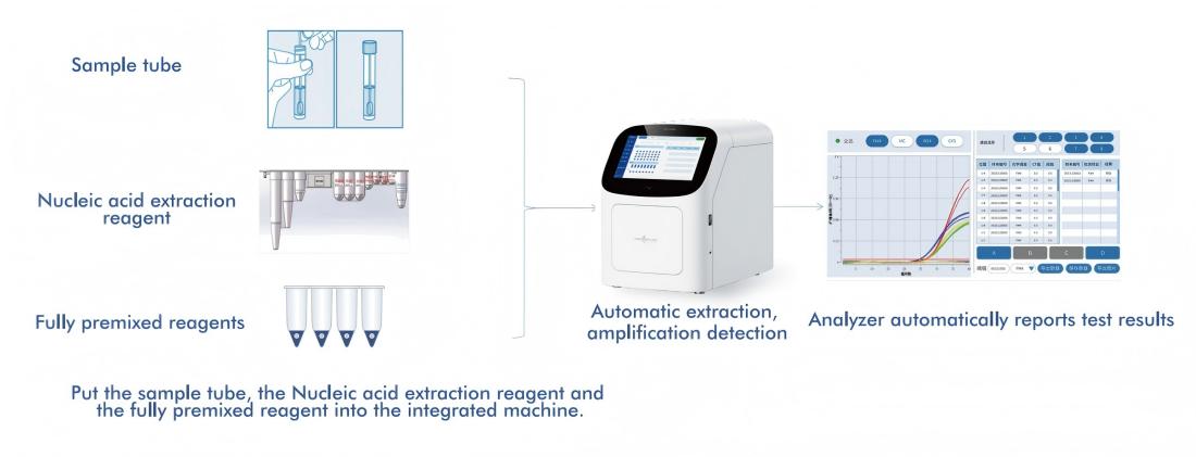 04 Alignment of WHO Guidelines with a Fully Automated High-Rish HPV Detection Platform