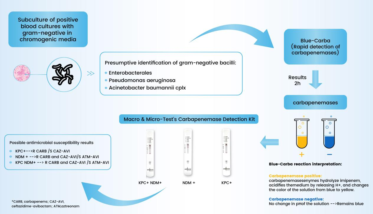 Carbapenemase Detection Kit (Colloidal Gold)