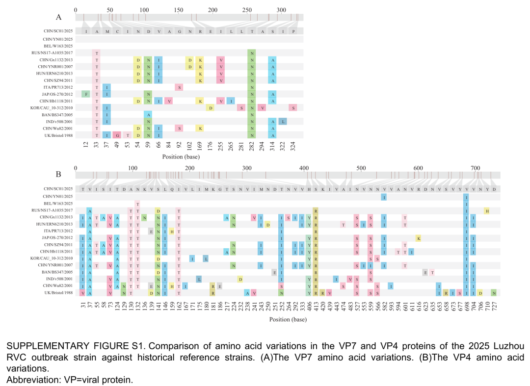Evidence of international transmission links