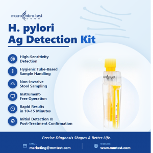 H.pylori_Ag_Detection_Kit_Poster_EN