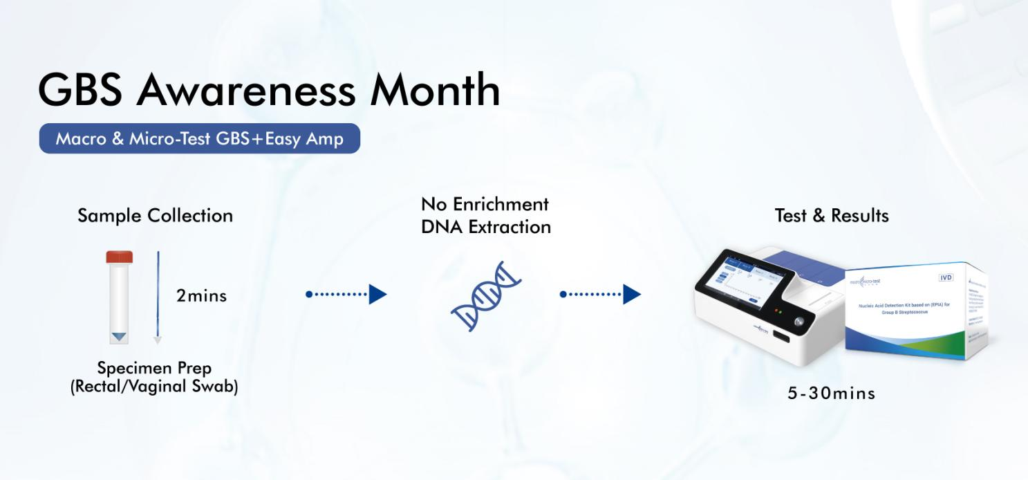 Macro & Micro-Test GBS+Easy Amp System