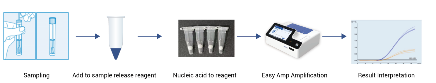 Ultra-Sürətli Molekulyar Aşkarlama